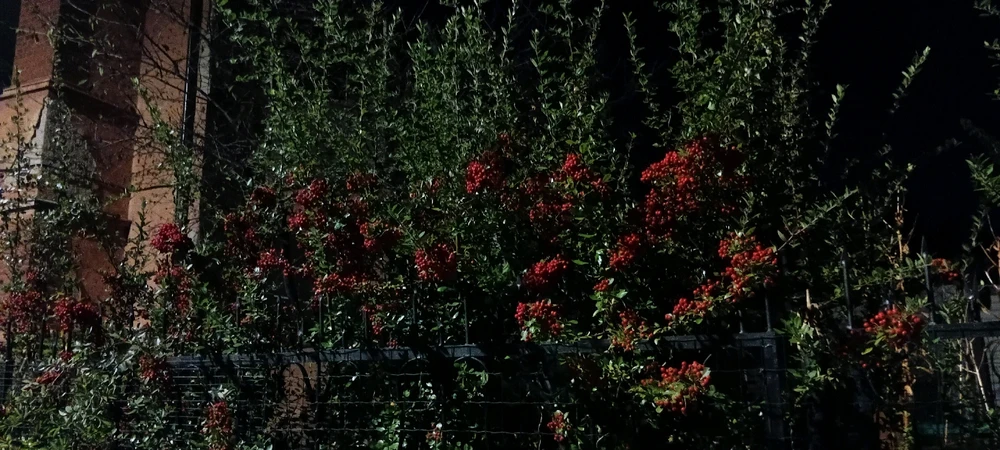 Image uploaded by Ева (Eva)