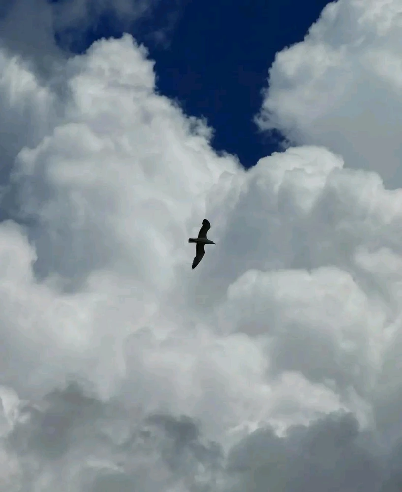 GIF caricata da Fabio