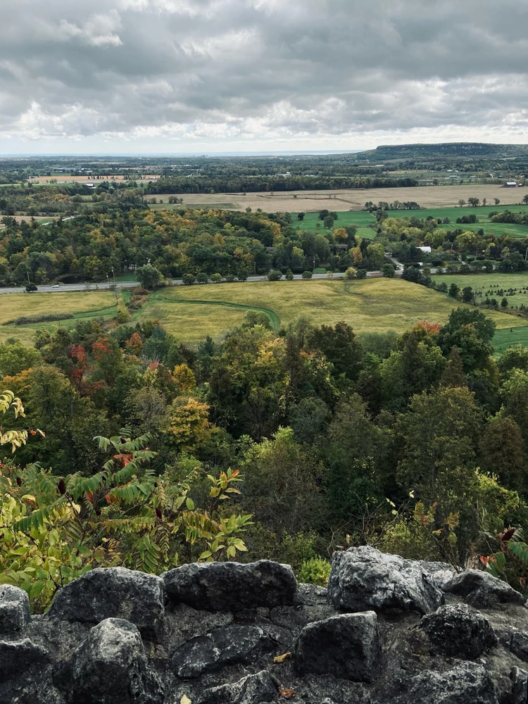 Image uploaded by Brandon