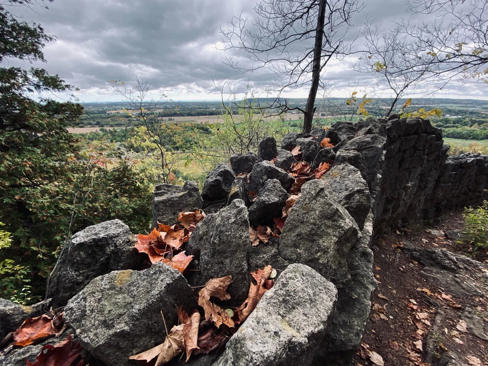 Image uploaded by Brandon