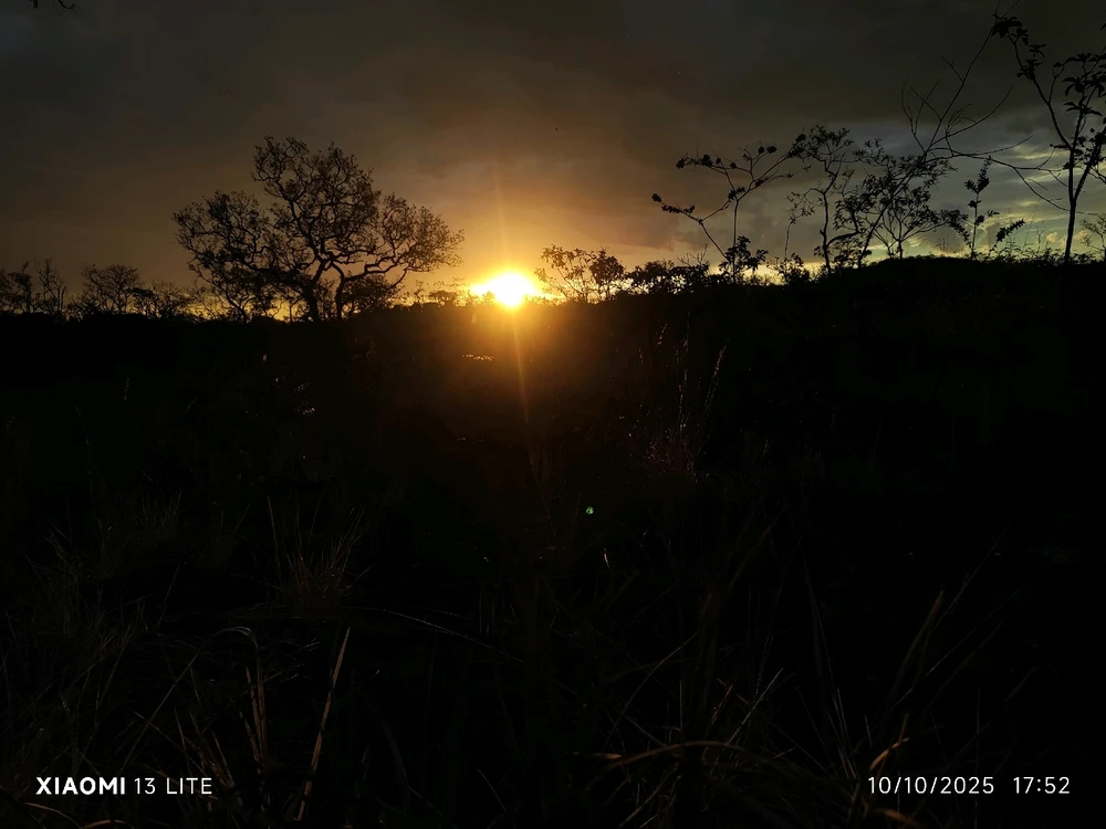 Image uploaded by Matheus