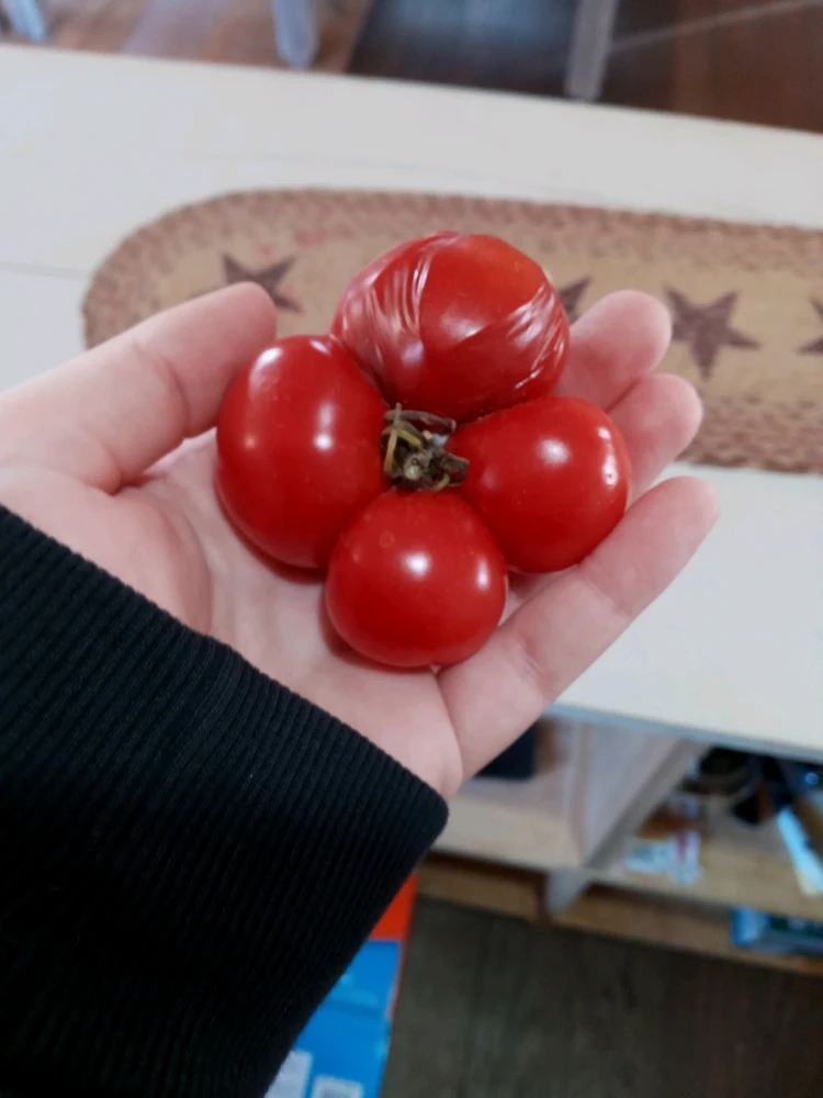 Image uploaded by Brooke