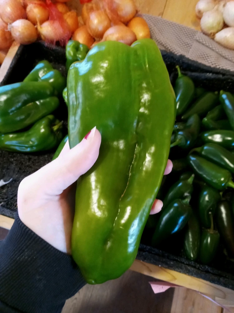 Image uploaded by Brooke