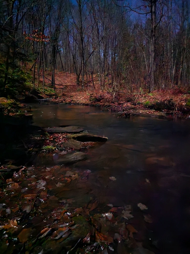 GIF uploaded by Catherine