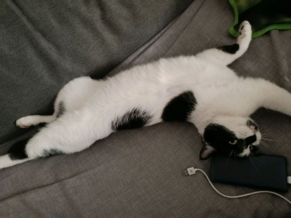 GIF caricata da Marzia