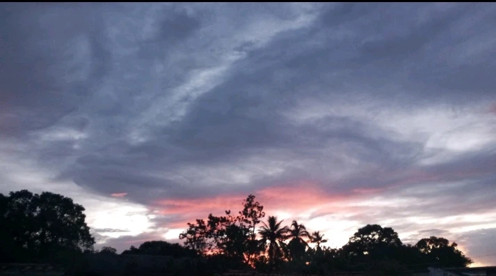 I-upload ni Jess ang larawan