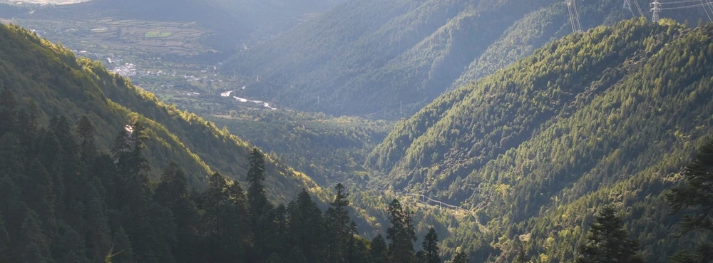 Image uploaded by Toxic