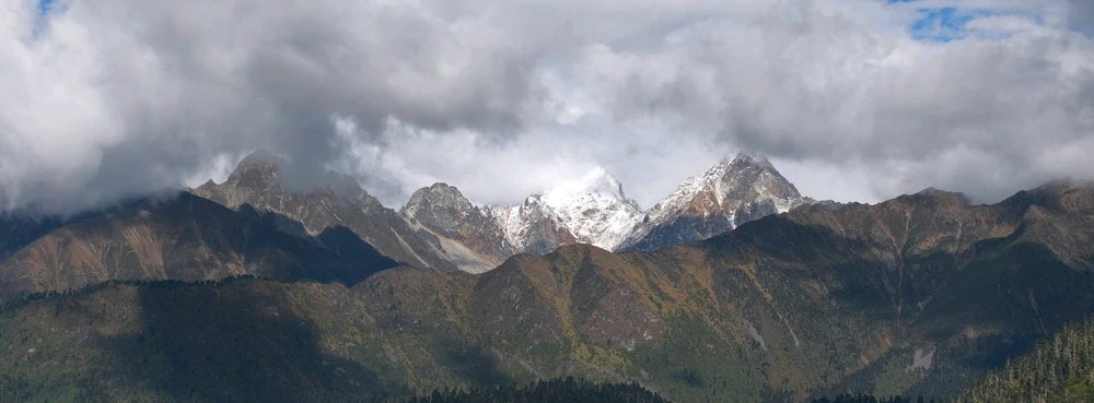 Image uploaded by Toxic