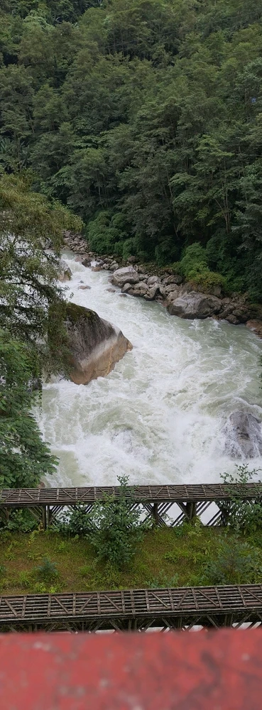 Image uploaded by Toxic