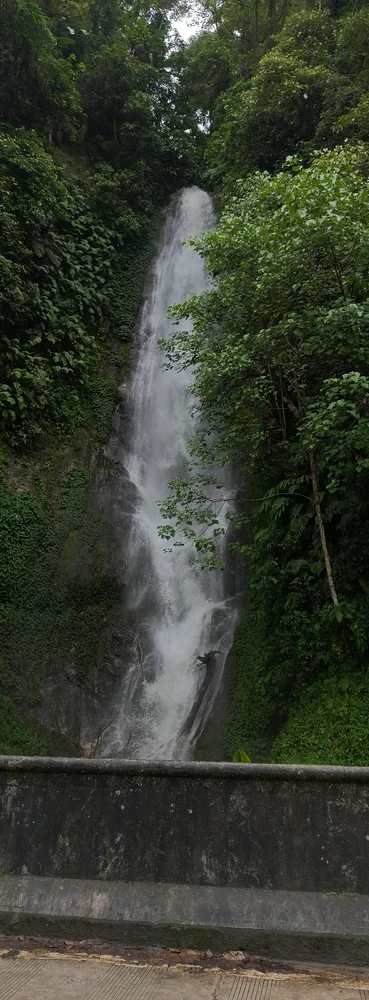 Image uploaded by Toxic