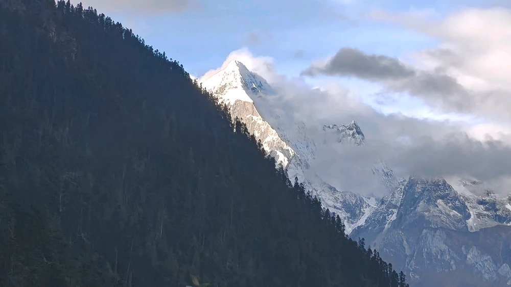 Image uploaded by Toxic