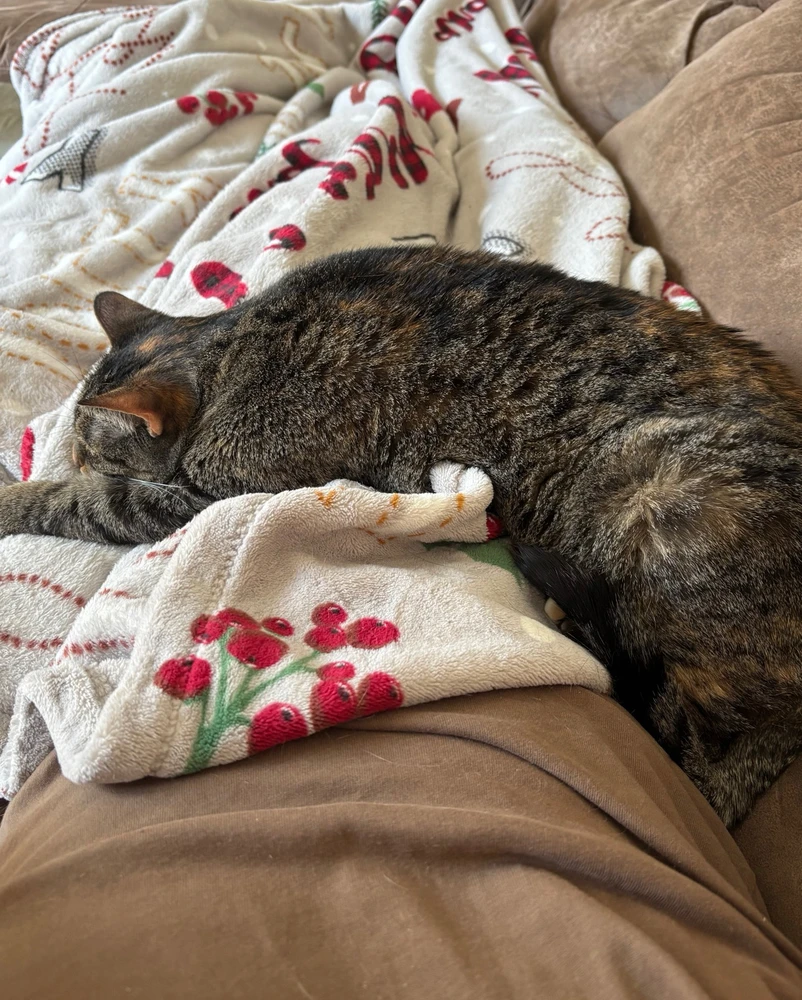 GIF uploaded by Austin