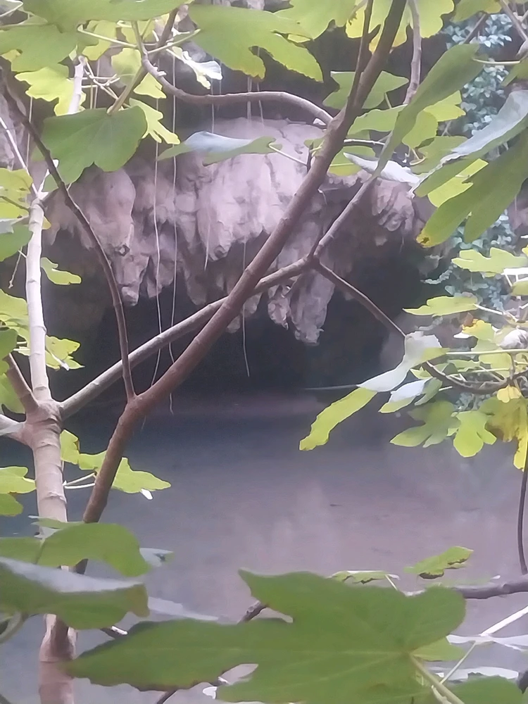 GIF caricata da Shinrin