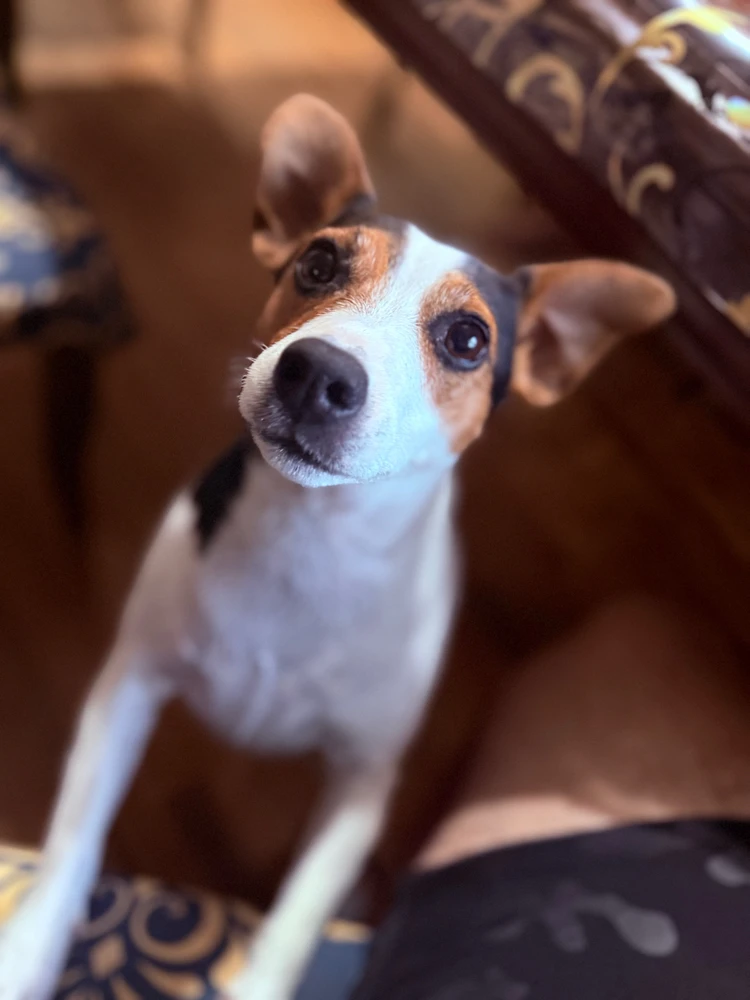 GIF otpremio/la Ognjen