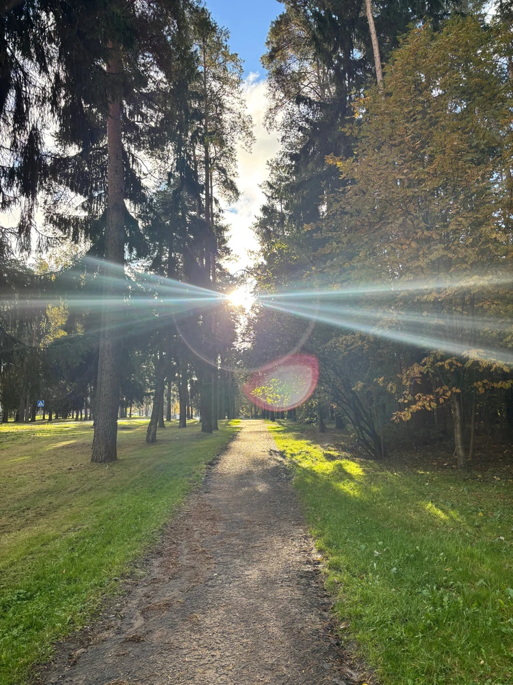 GIF загрузил Дарья