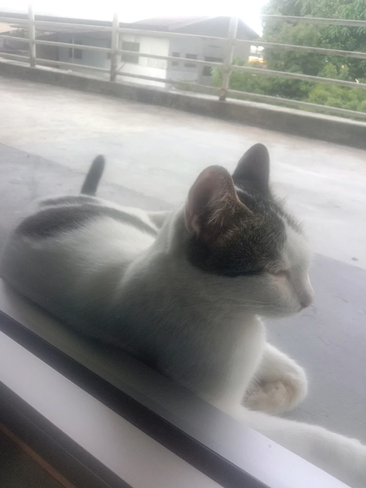 GIF gi-upload ni Rika j