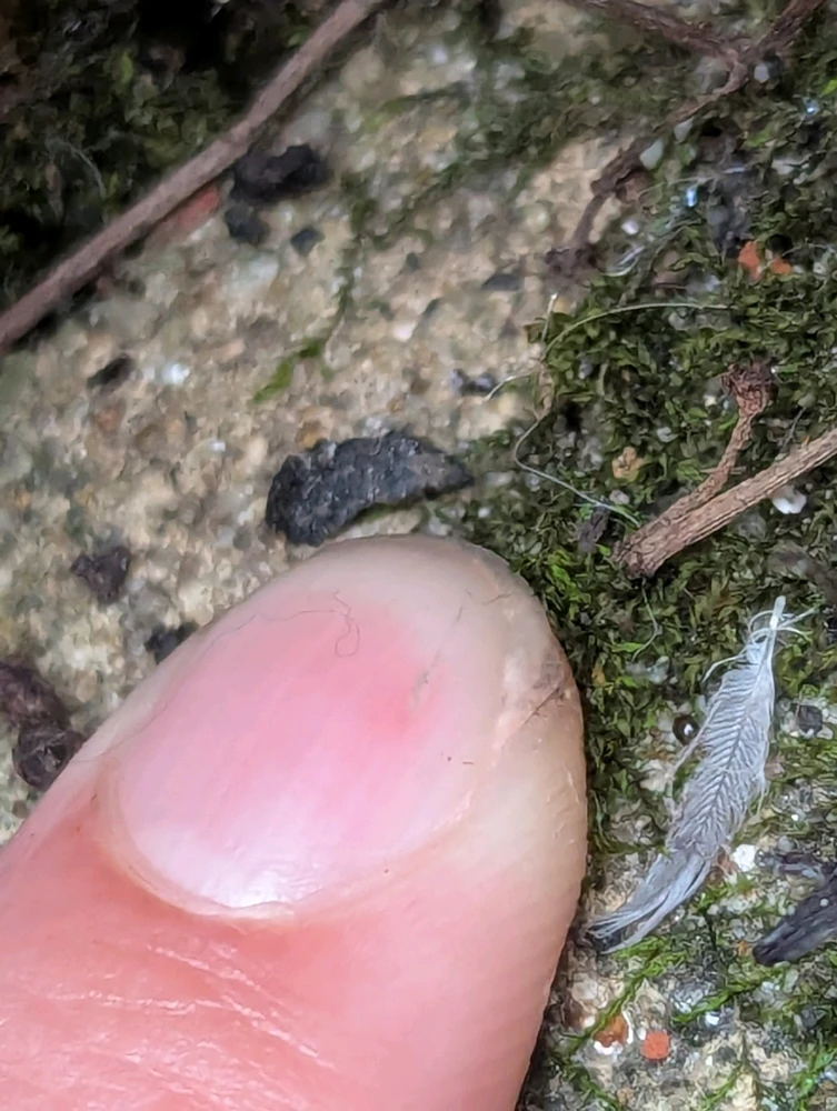 GIF diunggah dening Anna