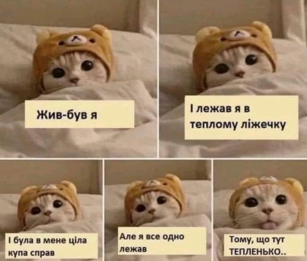 Гіфку завантажив Nata