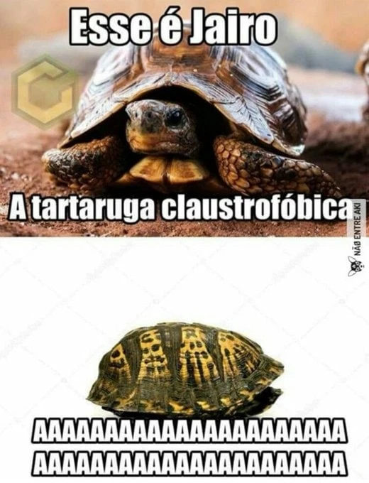 La superioridad de los memes en Portugués