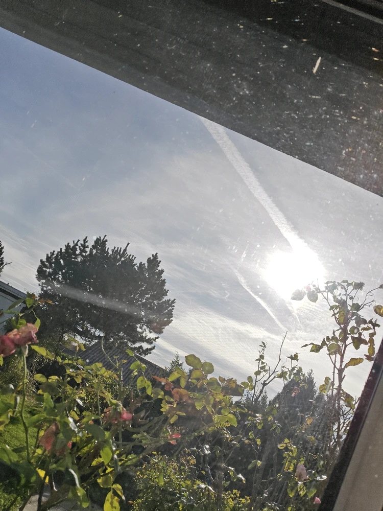 Billede uploadet af Magnus Boll