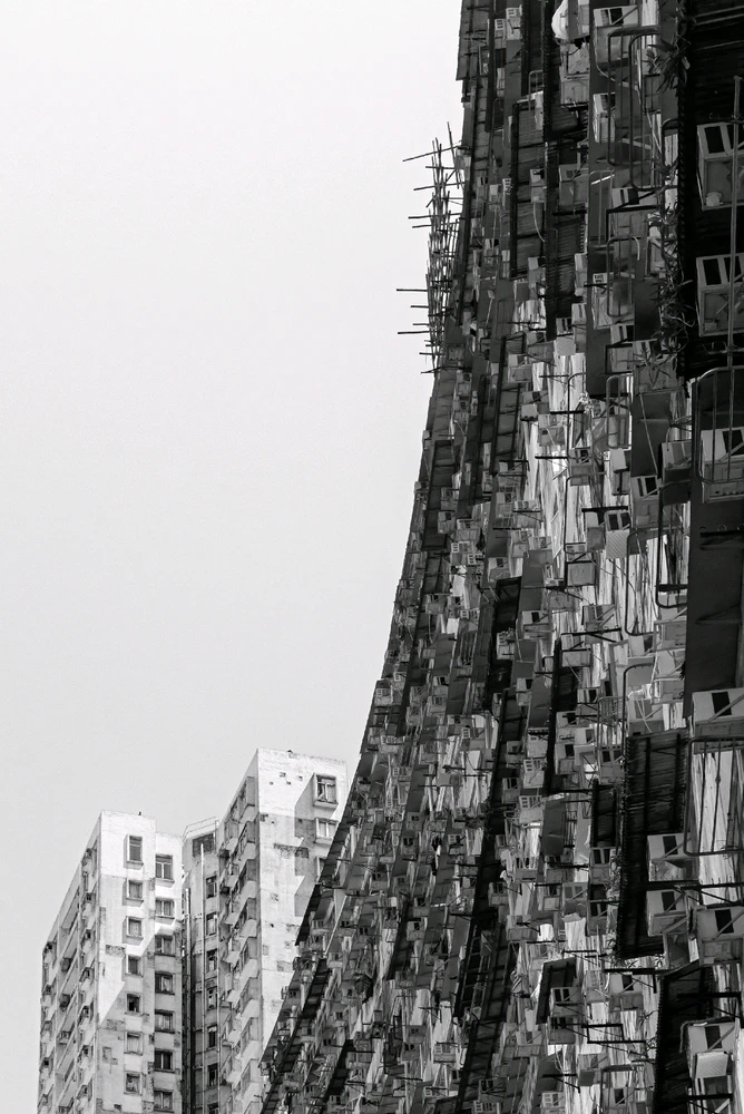 Image uploaded by Ross