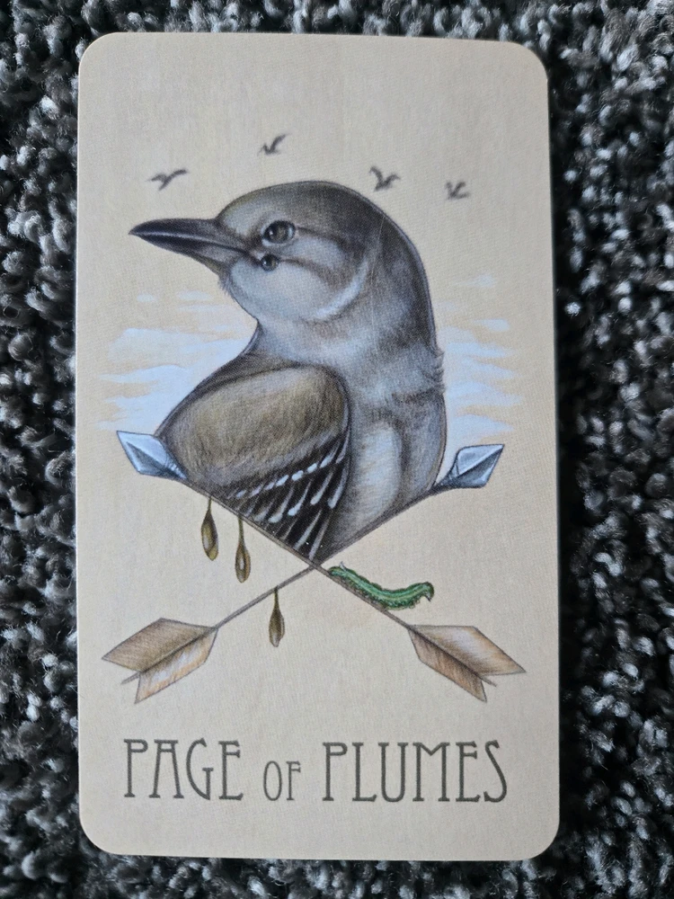 Pull for today 10/13