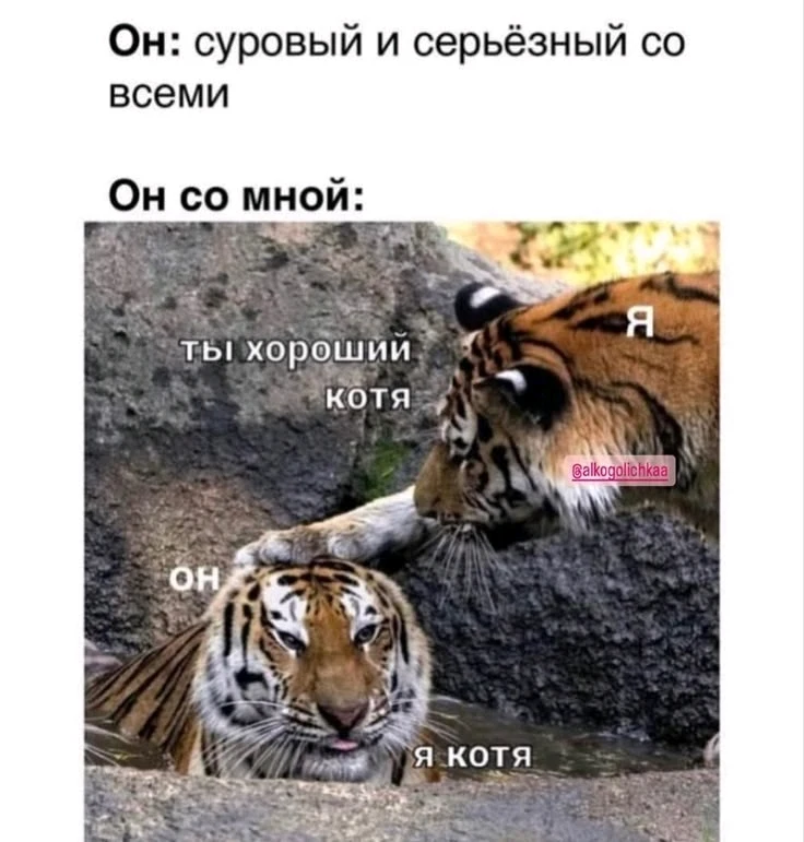 Вот такие отношения хочу)