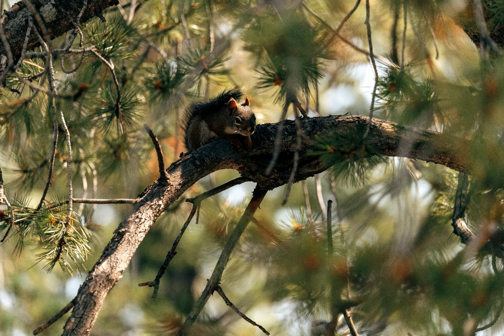 GIF uploaded by Chalder