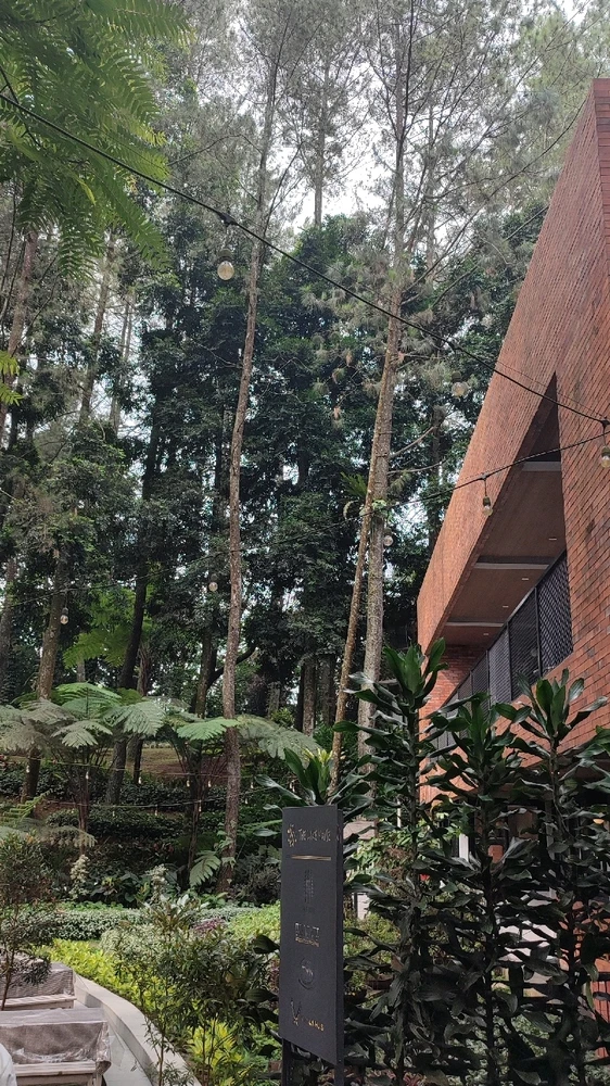 Gambar diunggah dening Rara