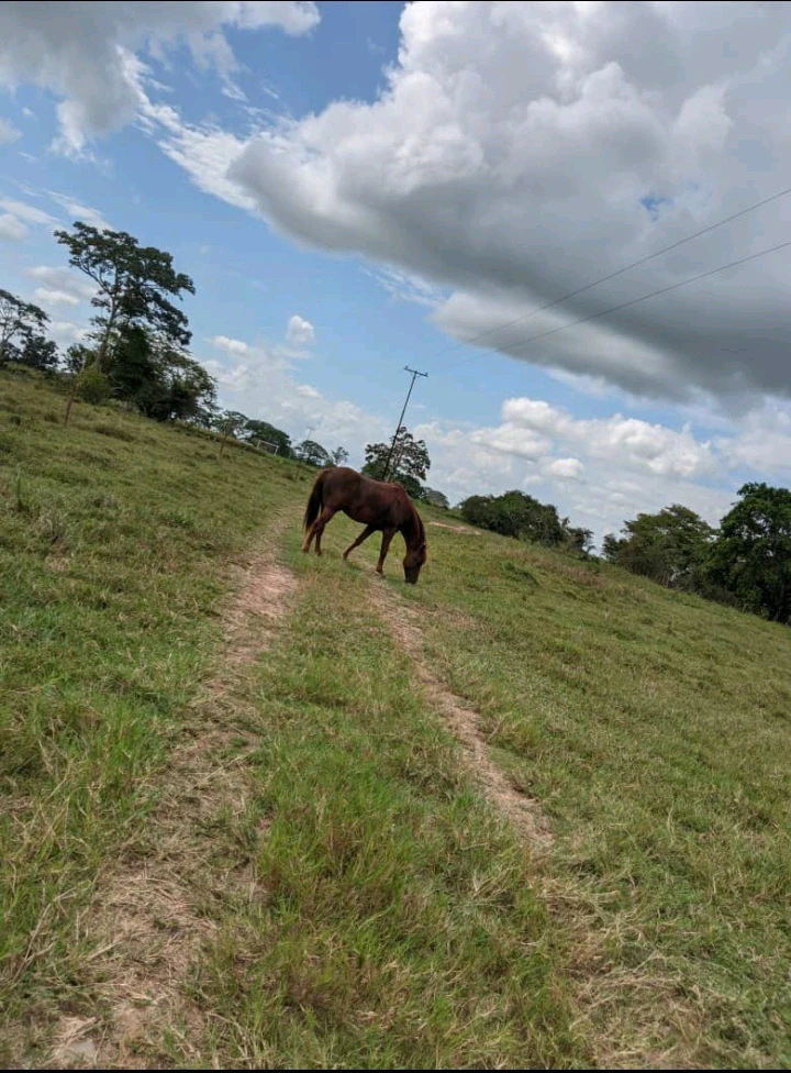 Image uploaded by Jess