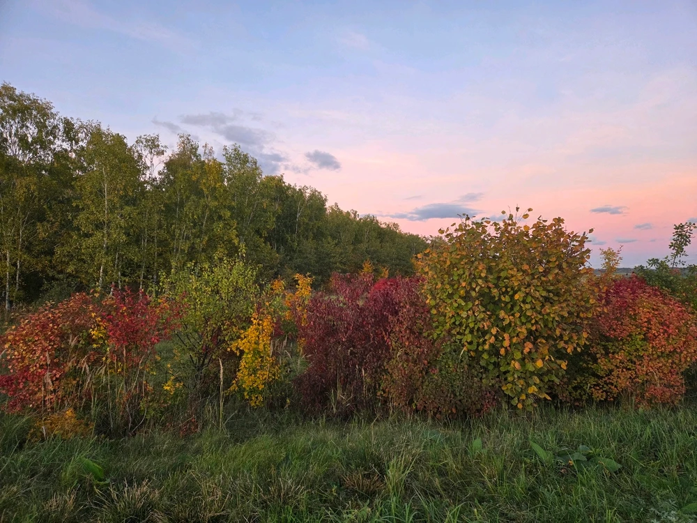 Obrázek nahrál Peťule