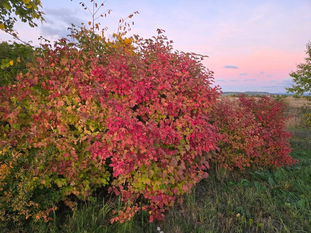 Obrázek nahrál Peťule