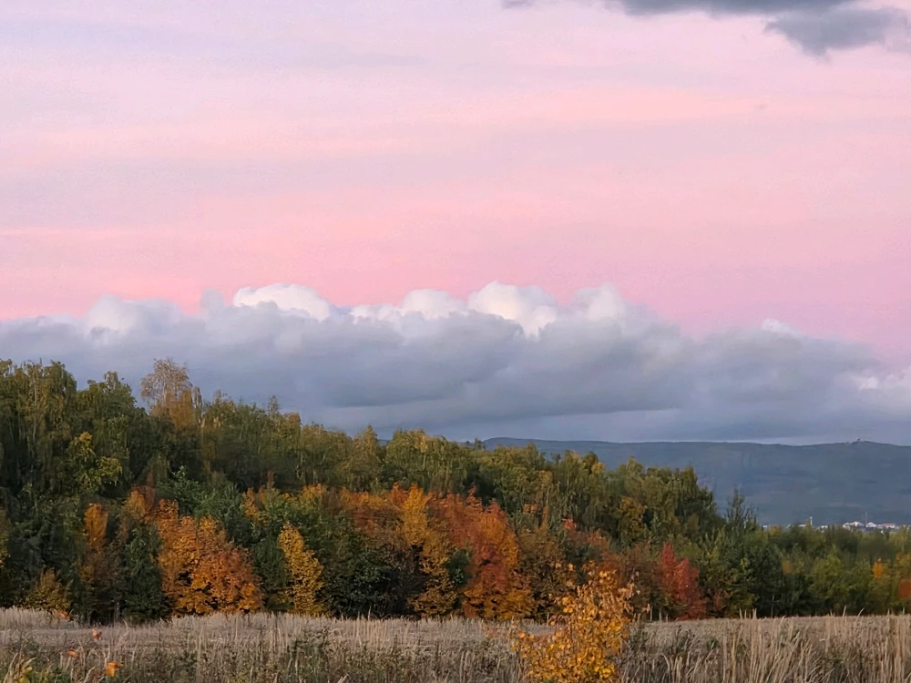 Obrázek nahrál Peťule