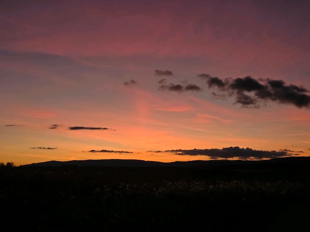 Obrázek nahrál Peťule