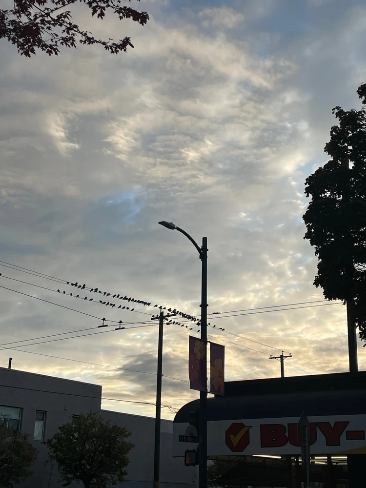 Imagen subida por Carlos