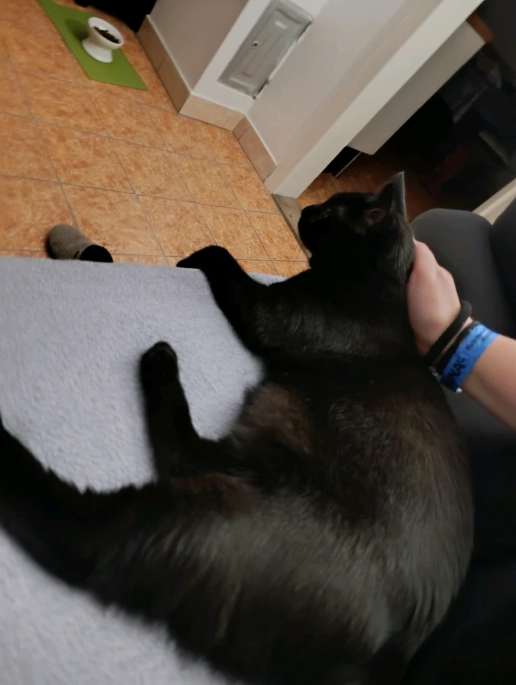 GIF nahrál ⭕⭕ Hlubina