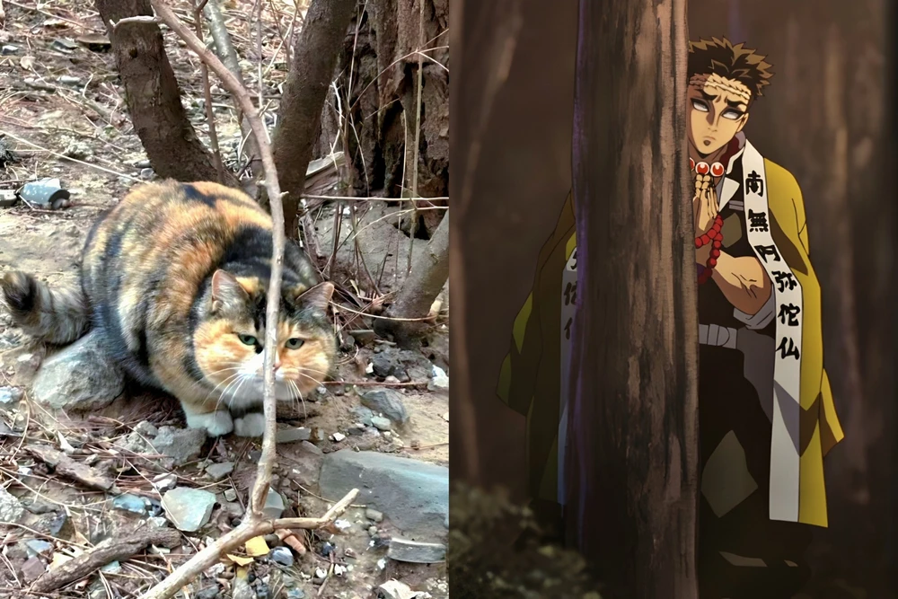 Csabi által feltöltött kép