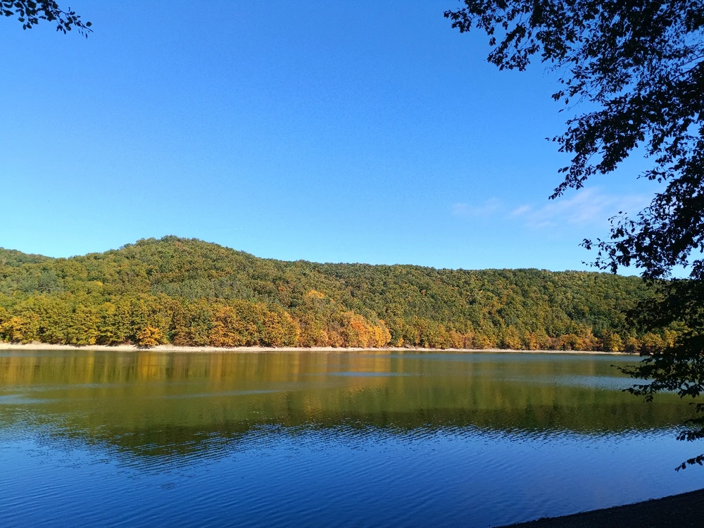 Máté által feltöltött kép