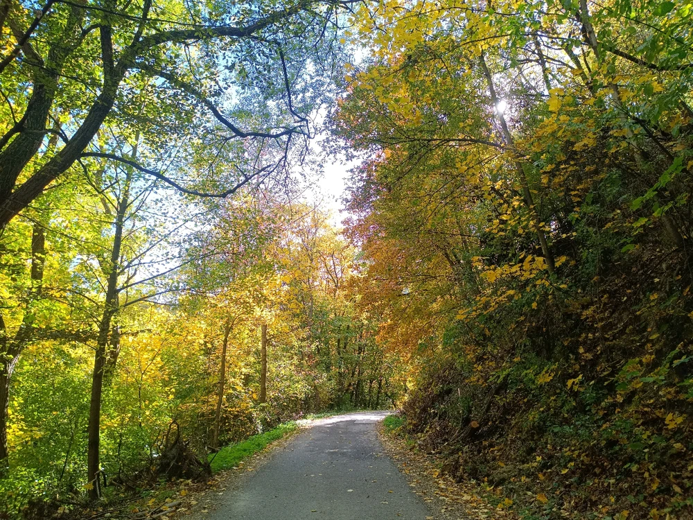 Máté által feltöltött kép