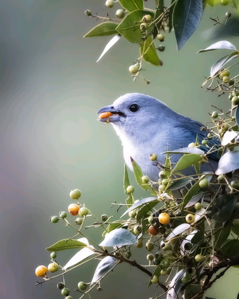 GIF subido por Martín