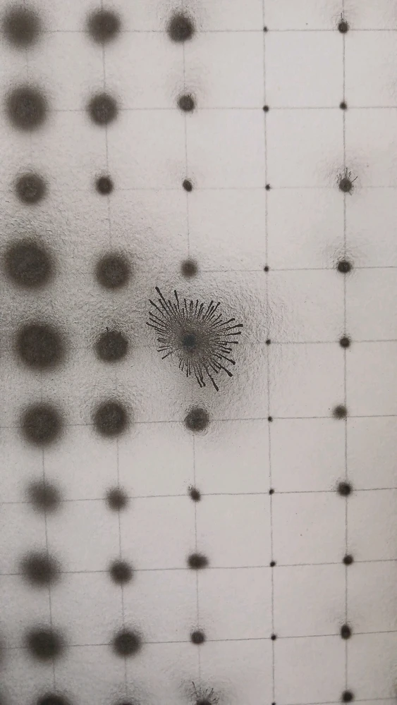 Imagen subida por Paau