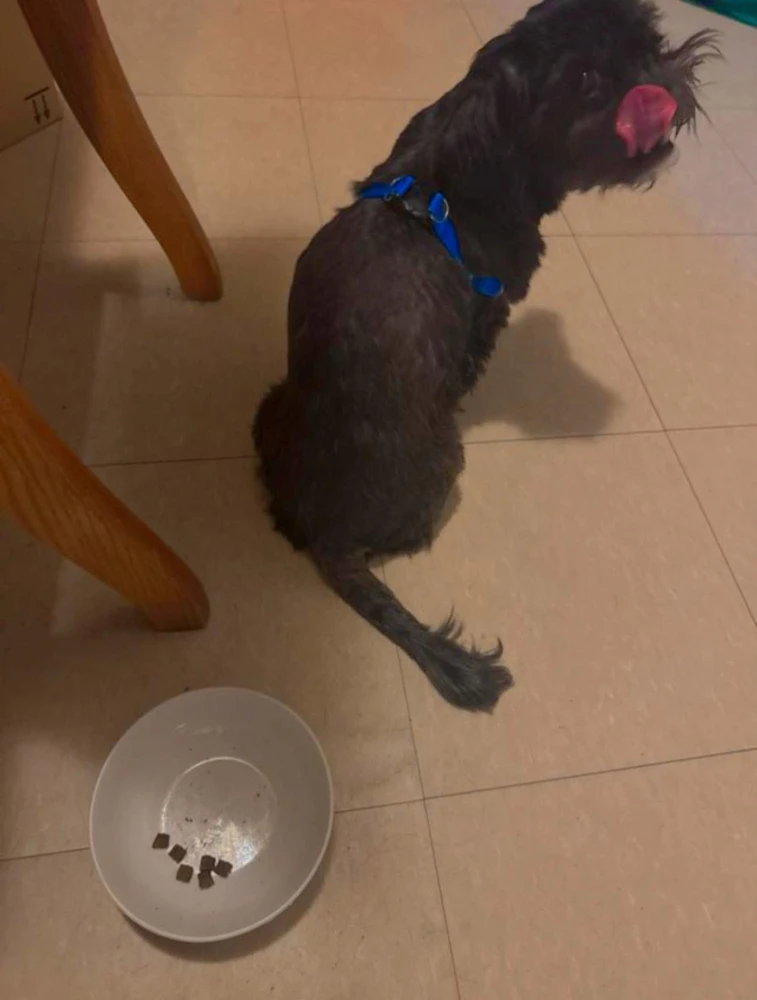 I think we both liked our Thanksgiving Meal hehe🤭😋