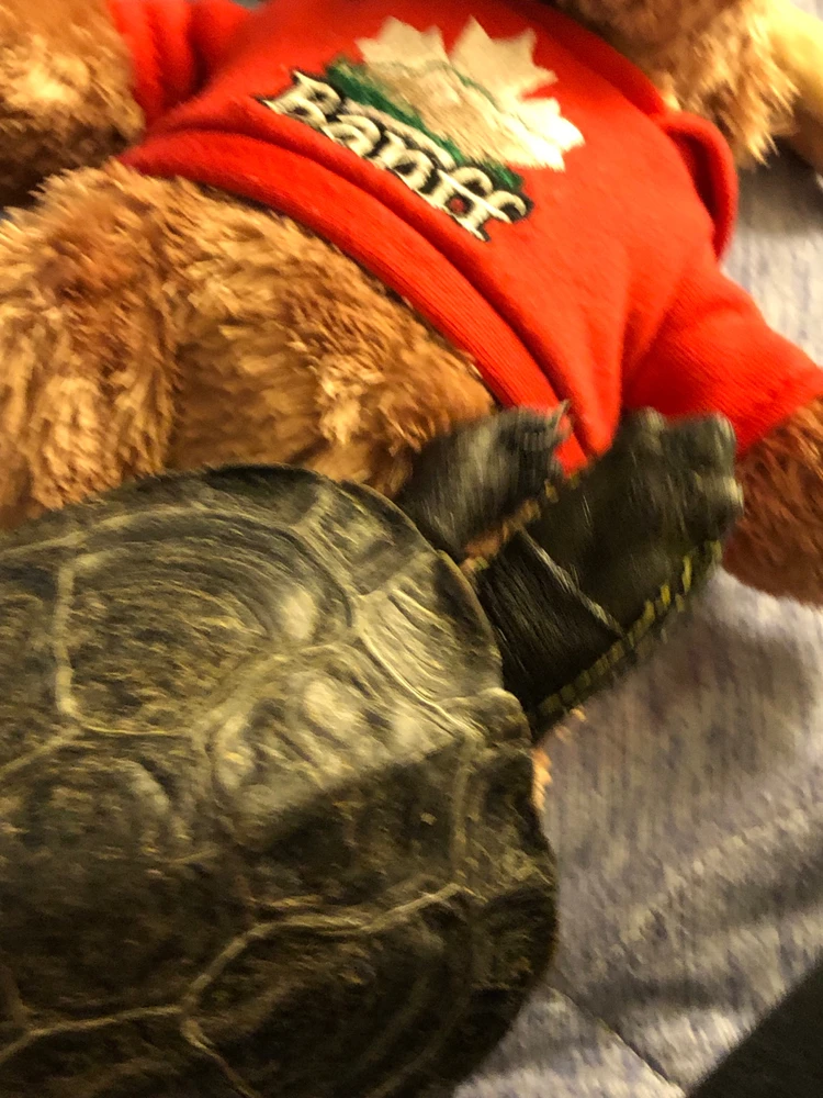 GIF uploaded by 𓂀 𝒦𝑜𝓇𝓇 𓂀