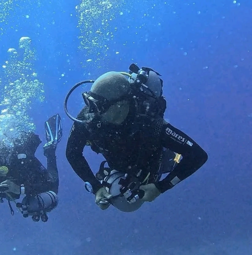 GIF diunggah dening David