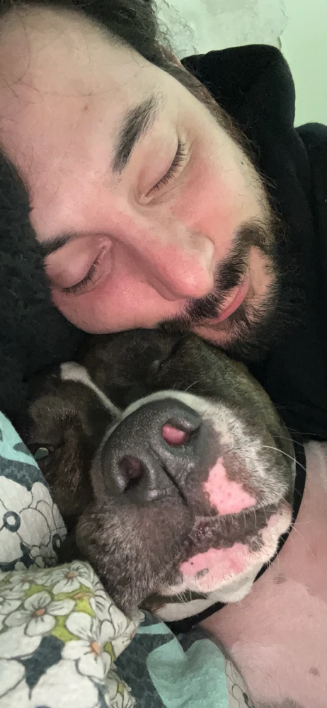 GIF caricata da Frank cough