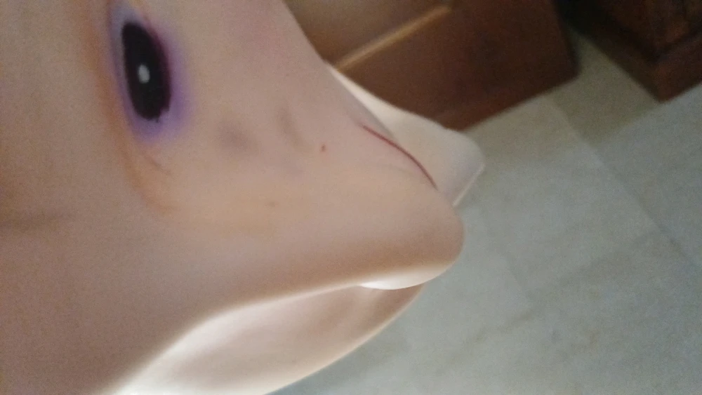 Íomhá uaslódáilte ag Giada