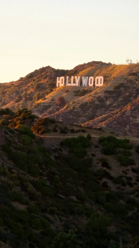 Just some photos of places I have been ♡