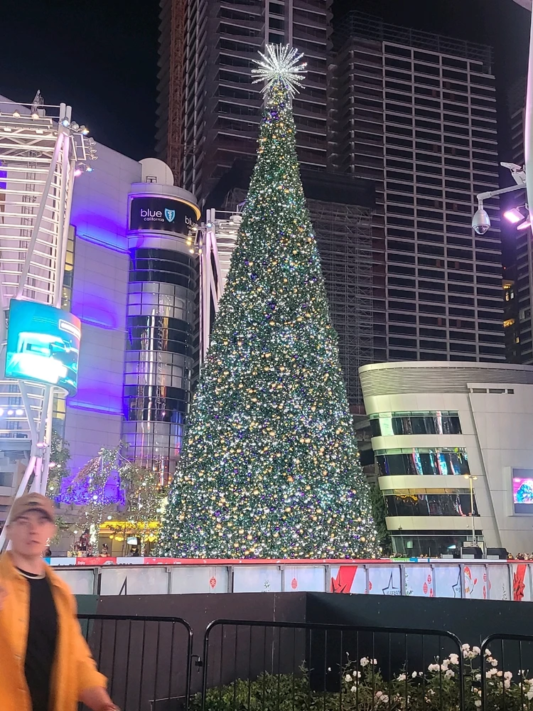 Just some photos of places I have been ♡