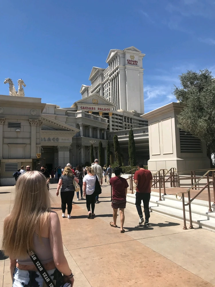 Just some photos of places I have been ♡