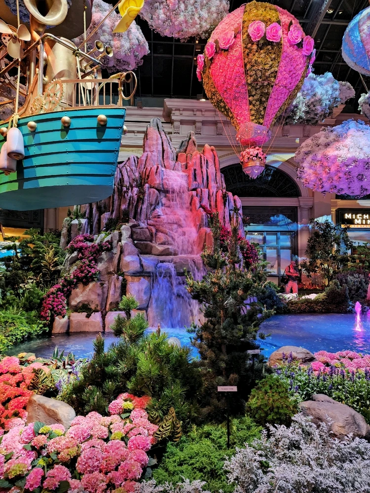 Just some photos of places I have been ♡